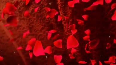 高清玫瑰花瓣飘落动态背景视频视频的预览图